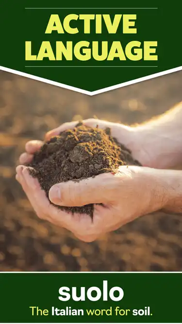 Language Learning  Soil