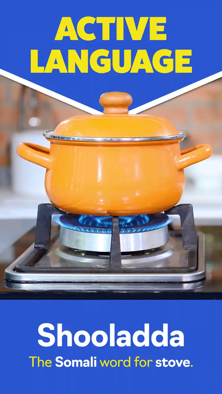 Language Learning  Stove