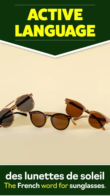 Language Learning  Sunglasses