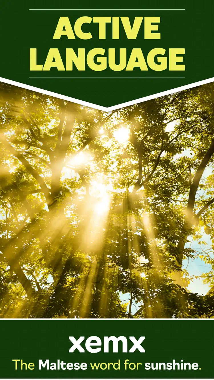 Language Learning  Sunshine