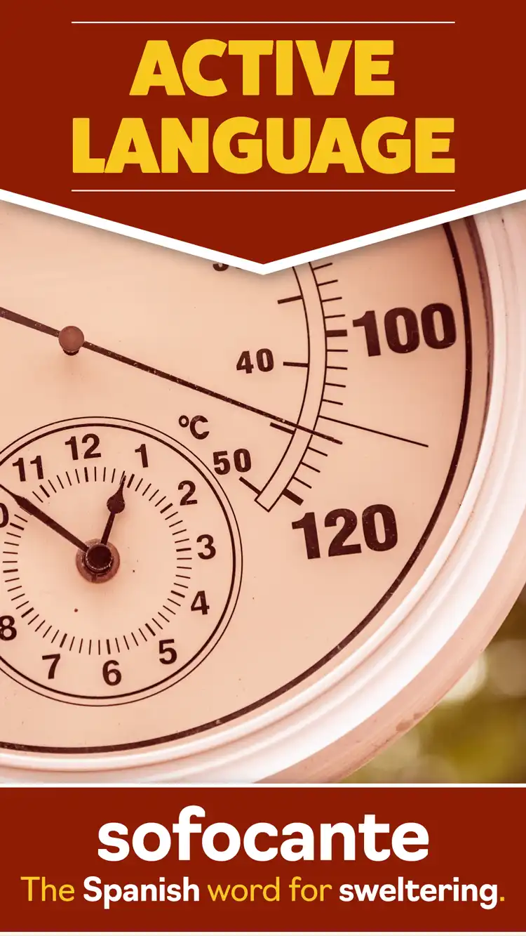 Language Learning  Sweltering