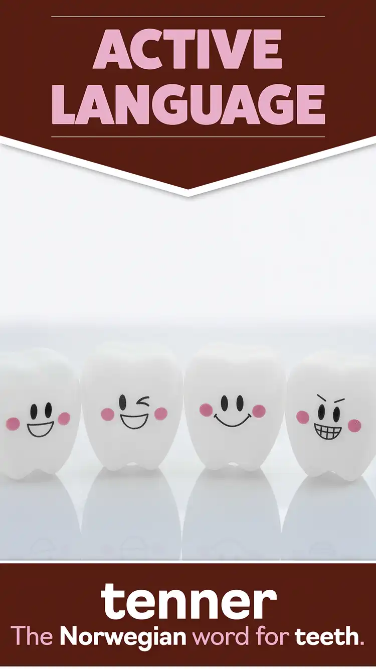 Language Learning  Teeth