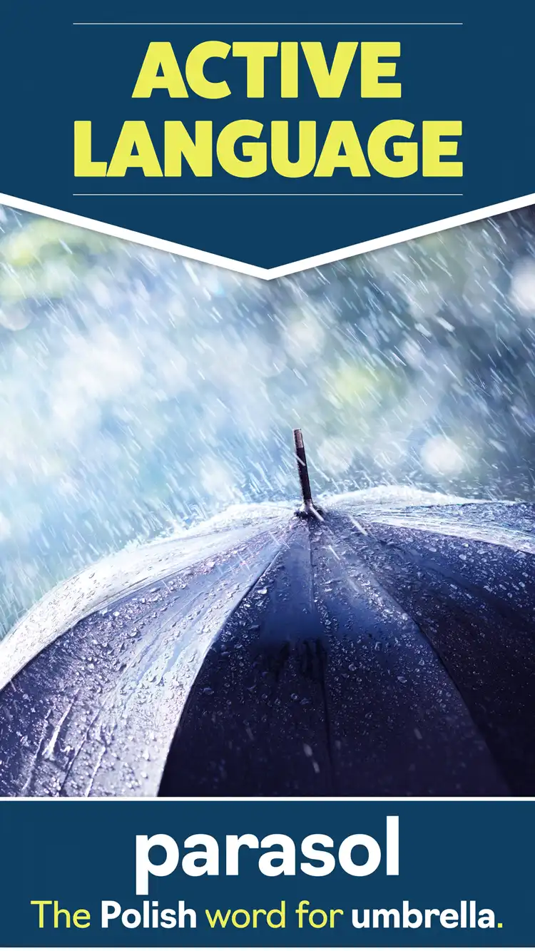 Language Learning  Umbrella