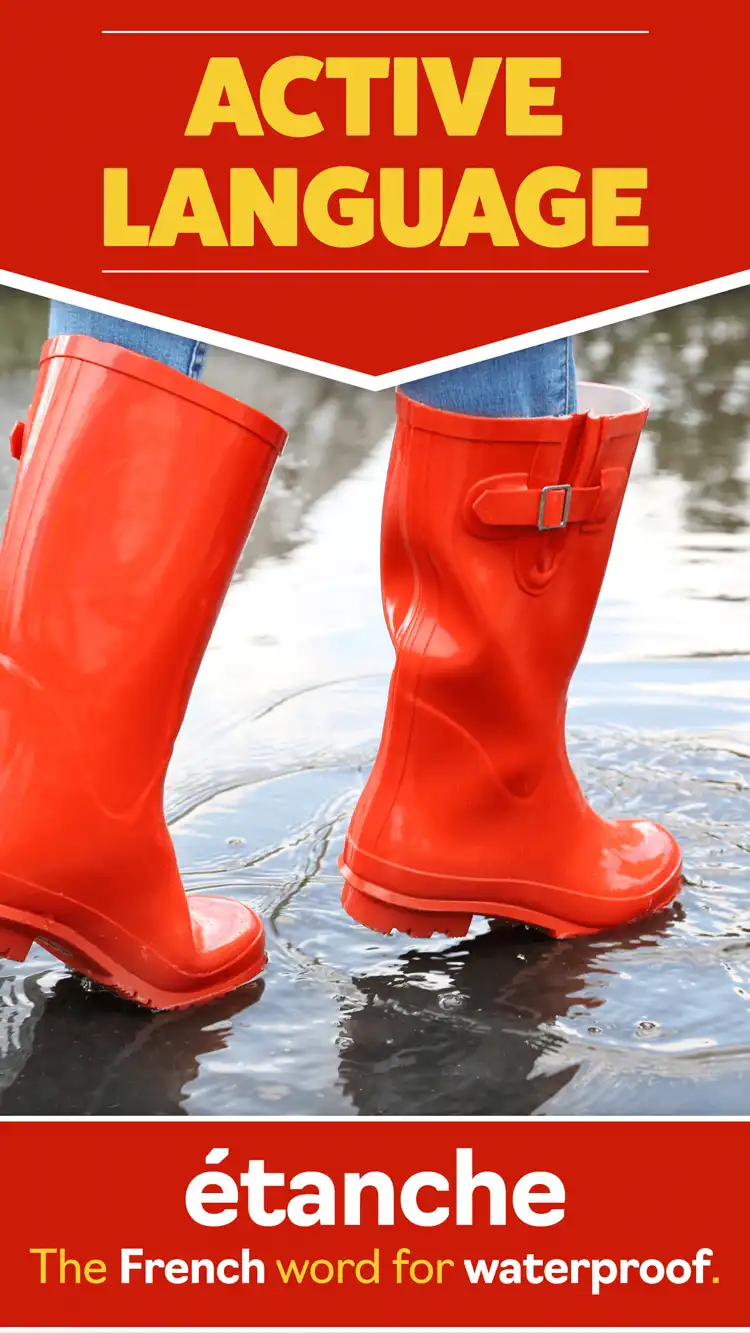 Language Learning  Waterproof