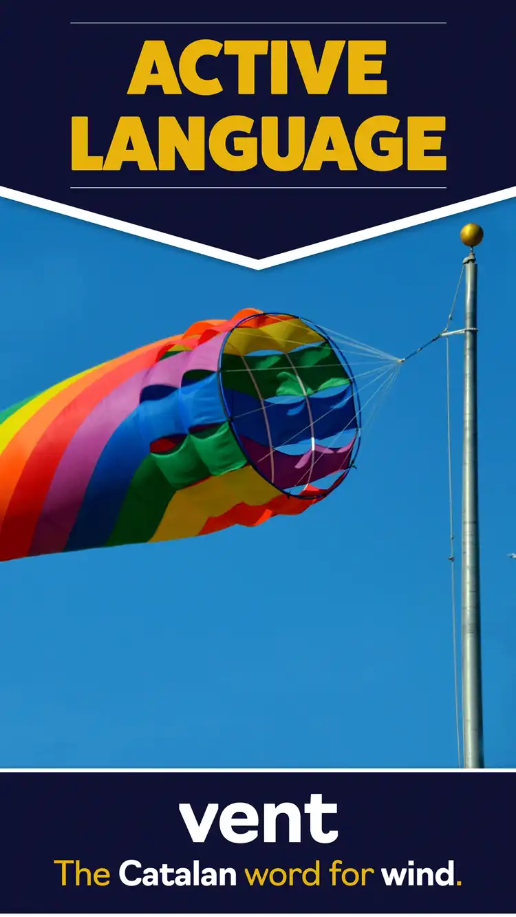 Language Learning  Wind