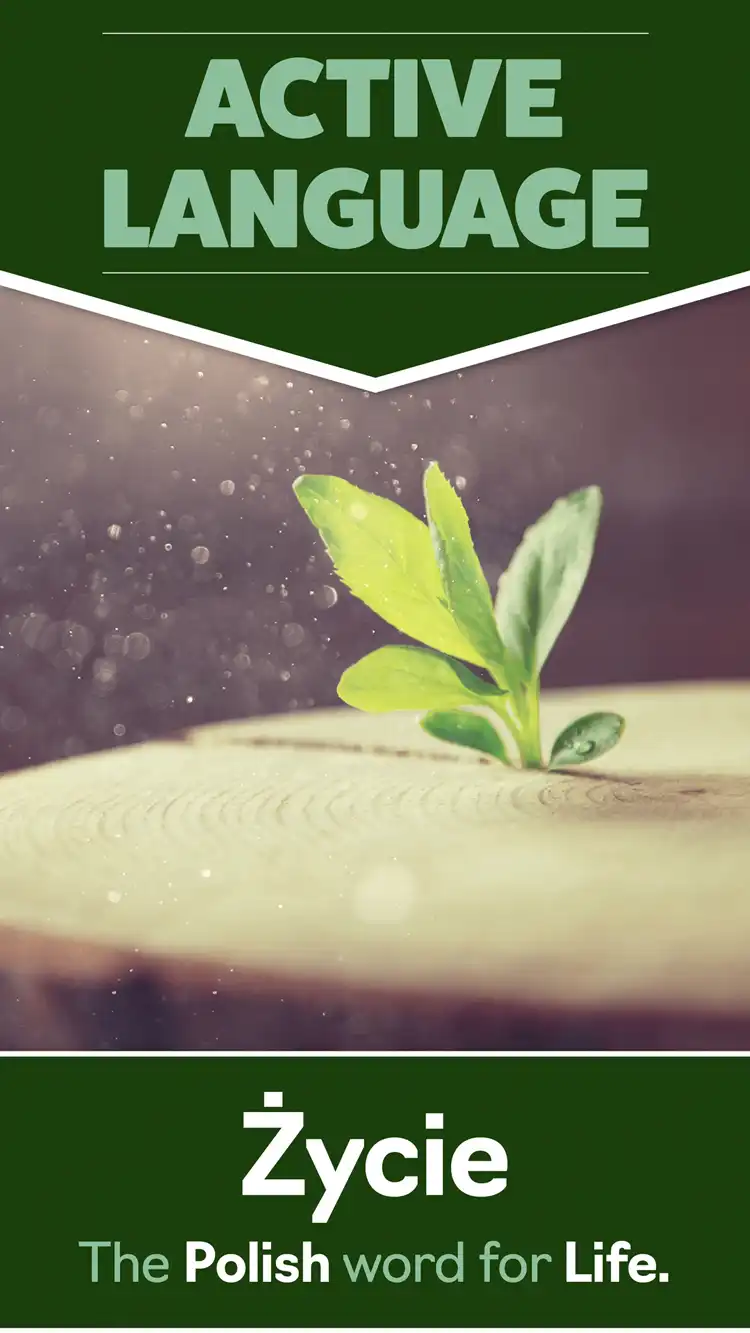 Language Learning  Zycie Life