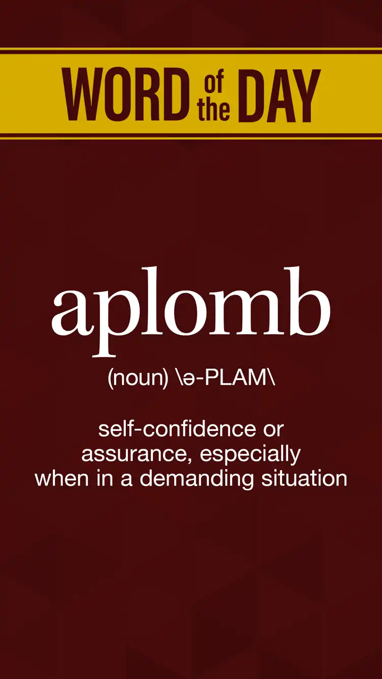 Wot D  Aplomb