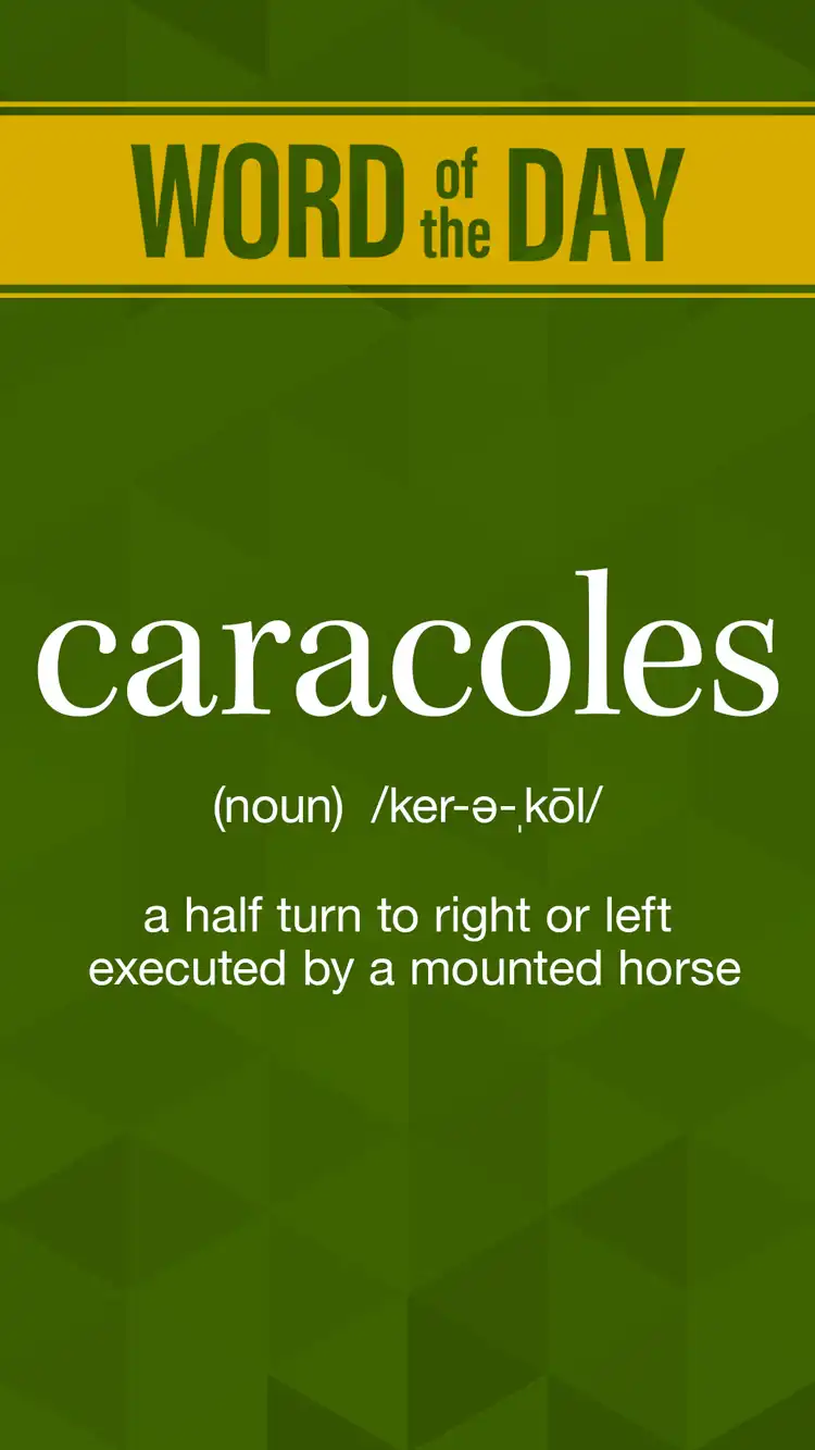 Wot D  Caracoles
