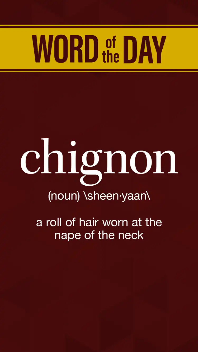 Wot D  Chignon
