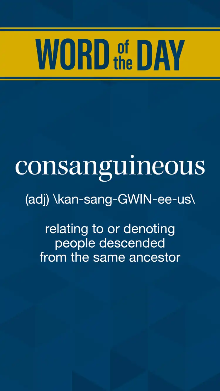 Wot D  Consanguineous