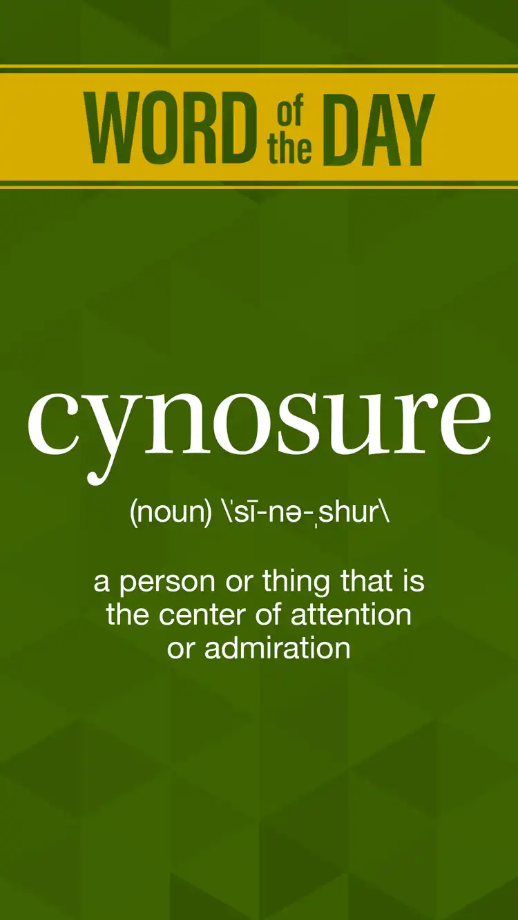 Wot D  Cynosure