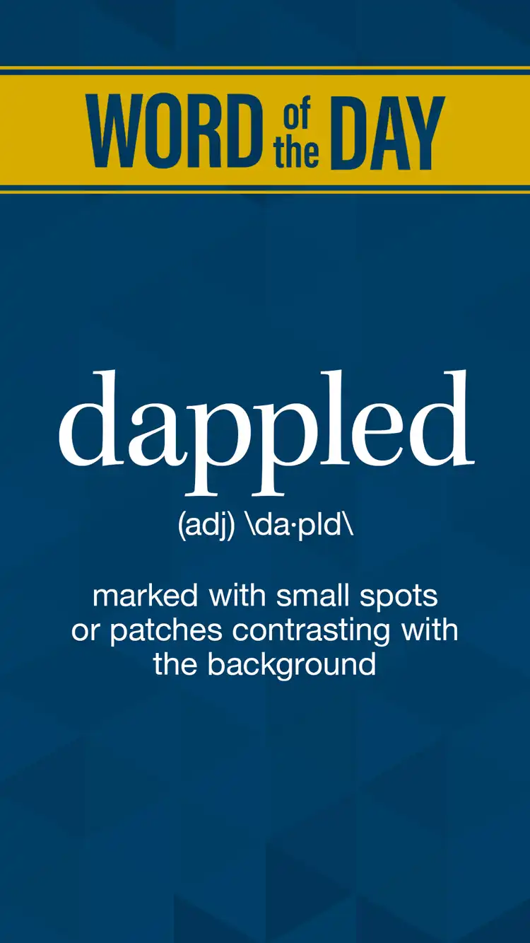 Wot D  Dappled