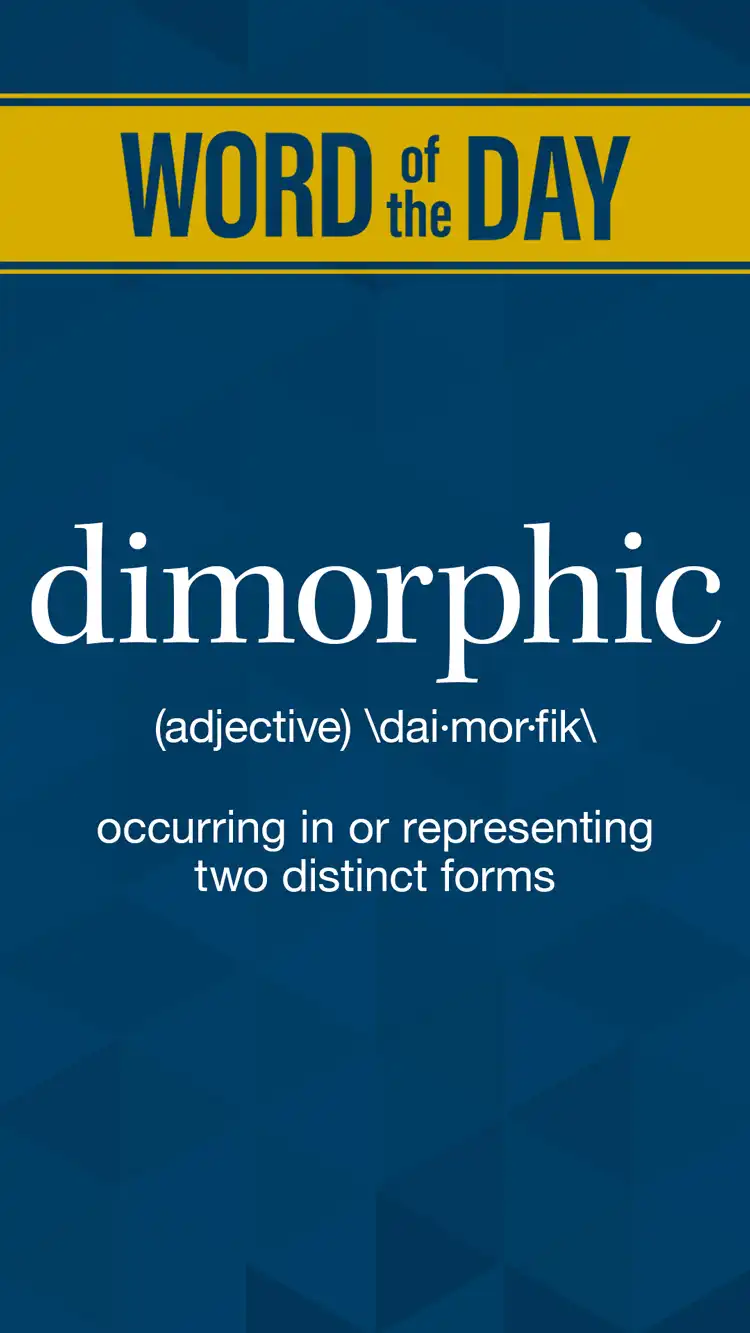 Wot D  Dimorphic