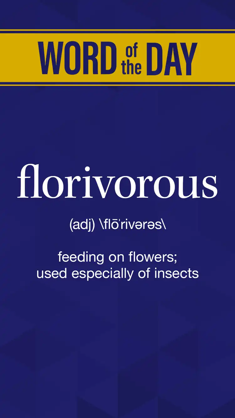 Wot D  Florivorous
