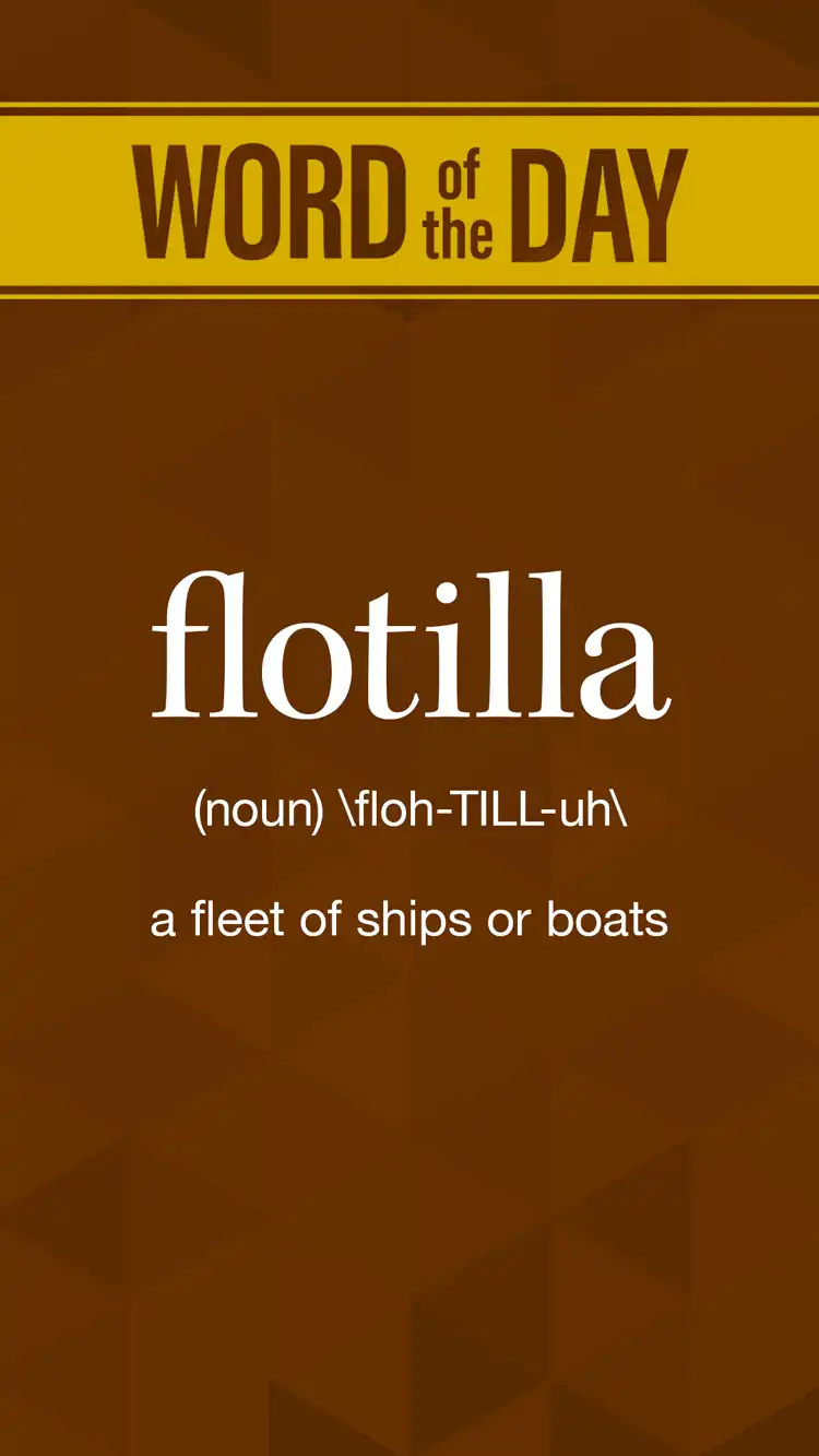 Wot D  Flotilla