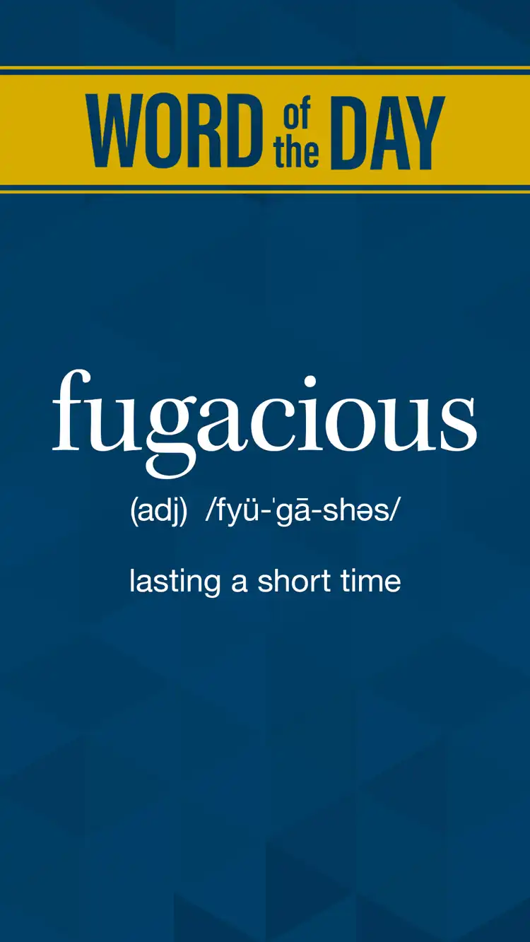 Wot D  Fugacious