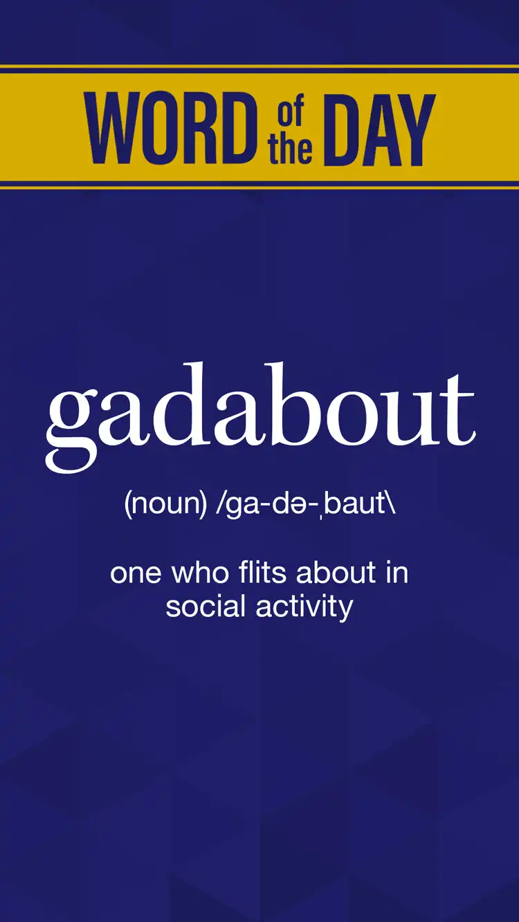 Wot D  Gadabout