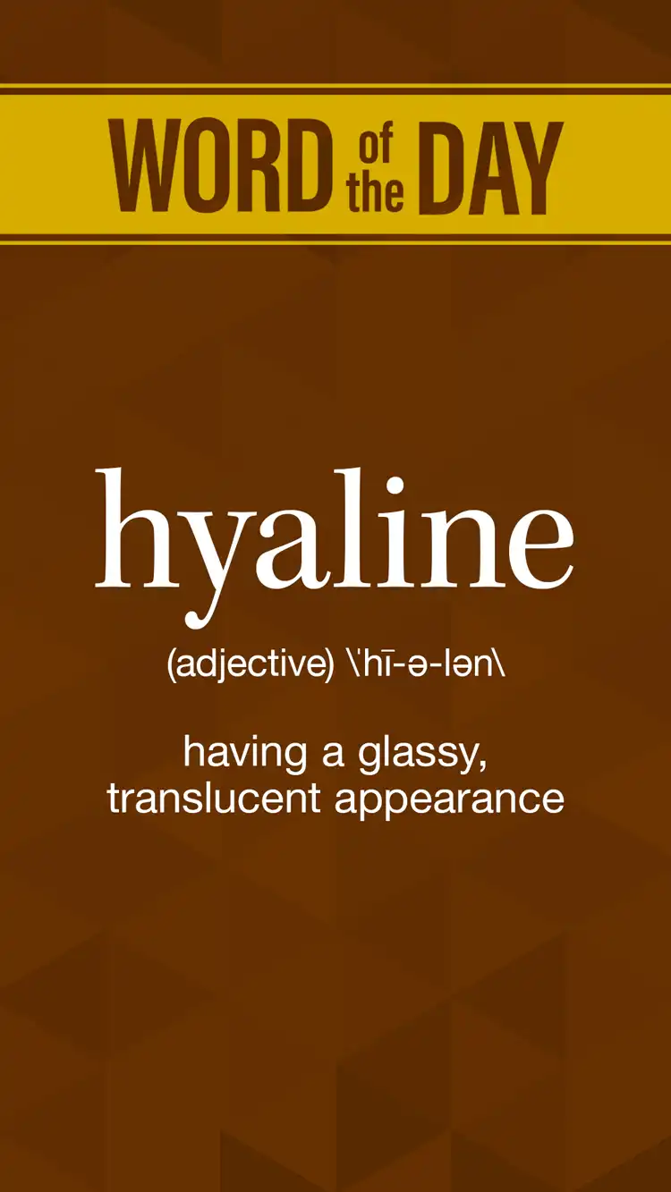 Wot D  Hyaline