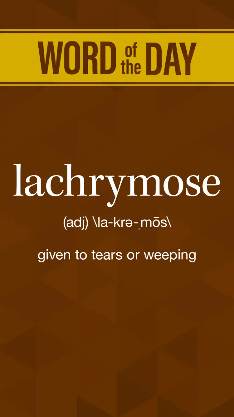 Wot D  Lachrymose
