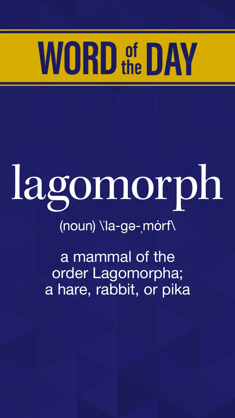 Wot D  Lagomorph