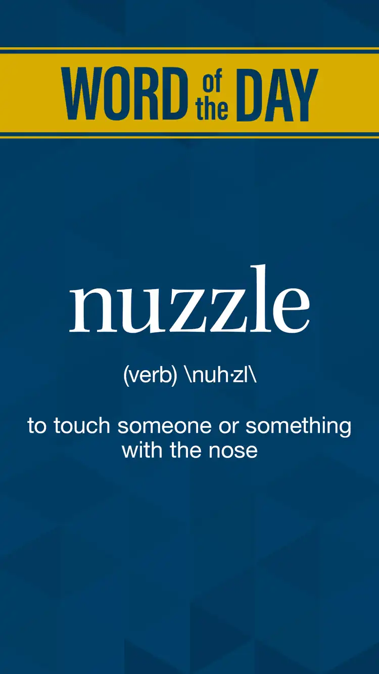 Wot D  Nuzzle