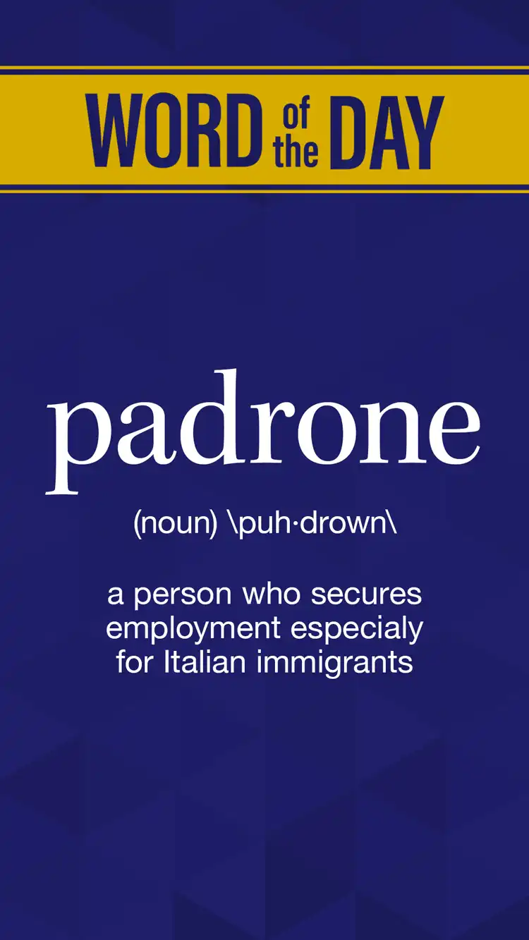 Wot D  Padrone