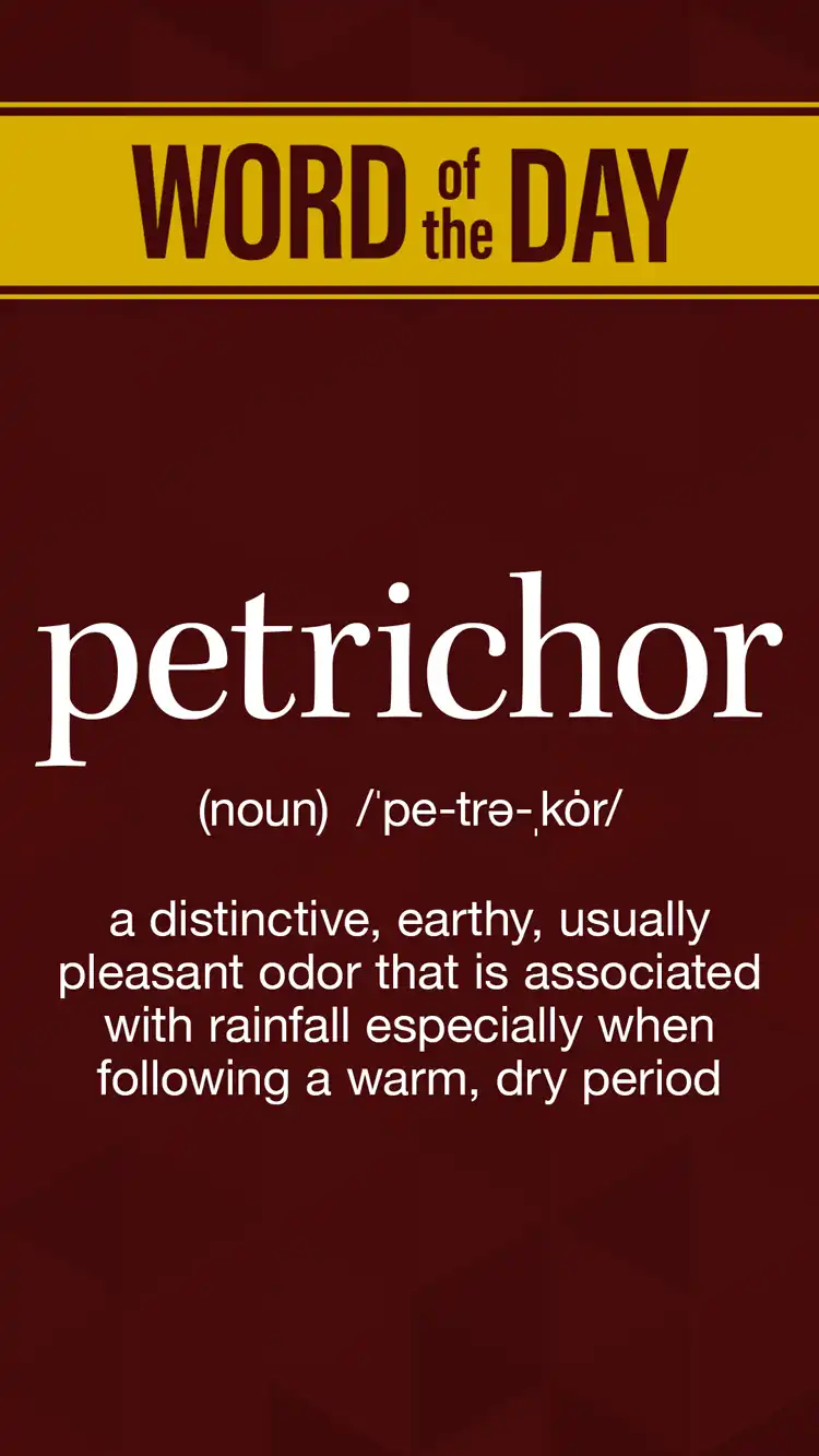 Wot D  Petrichor