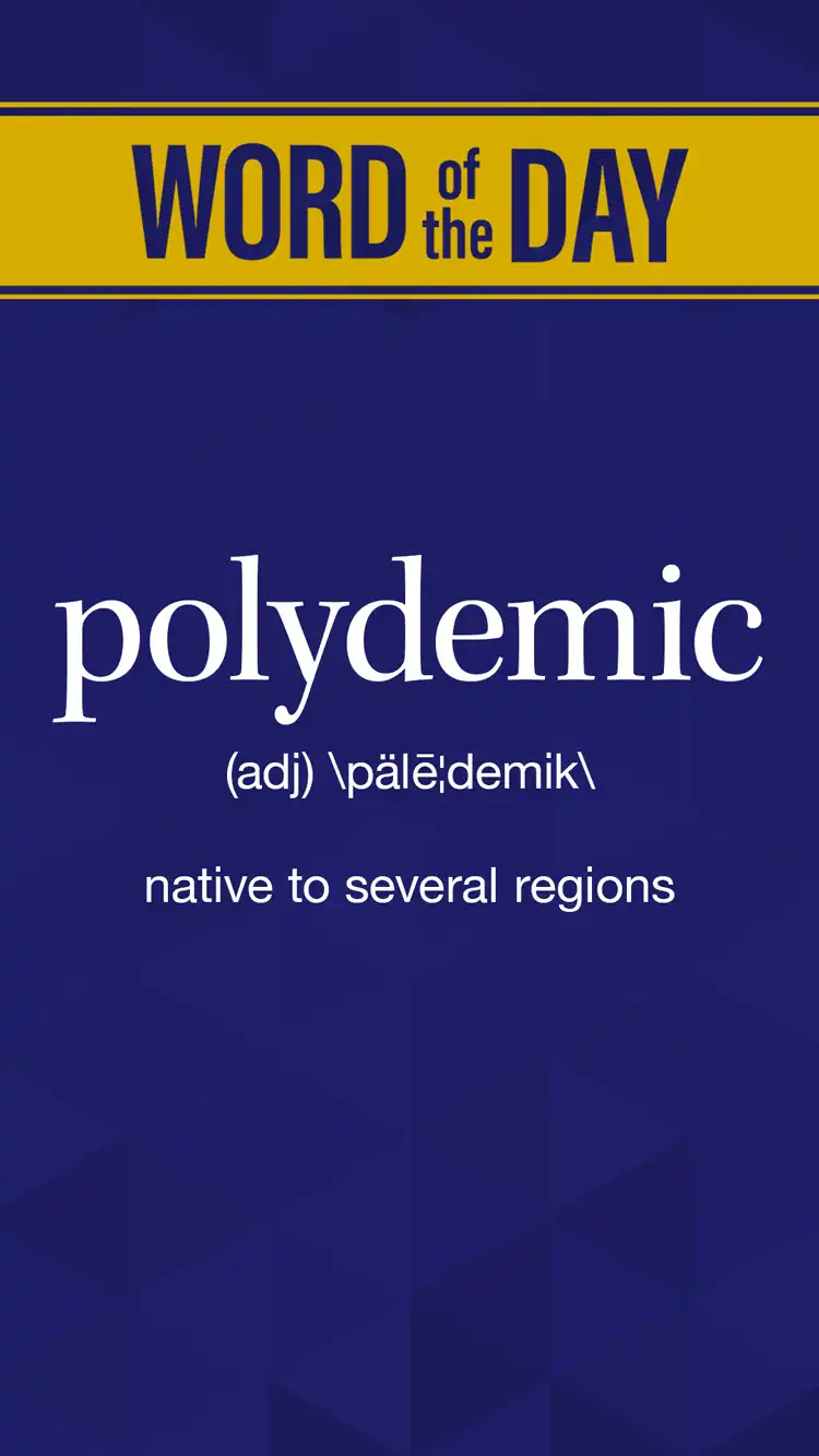 Wot D  Polydemic