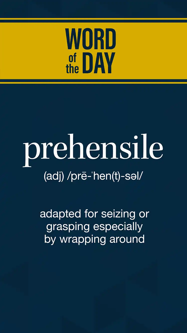 Wot D  Prehensile