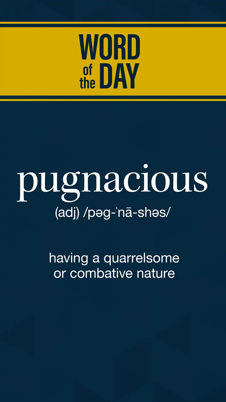 Wot D  Pugnacious
