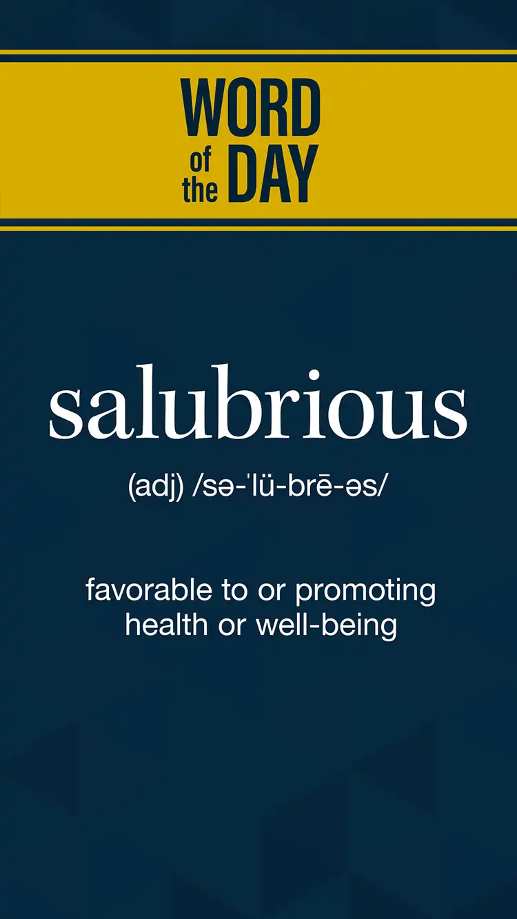 Wot D  Salubrious