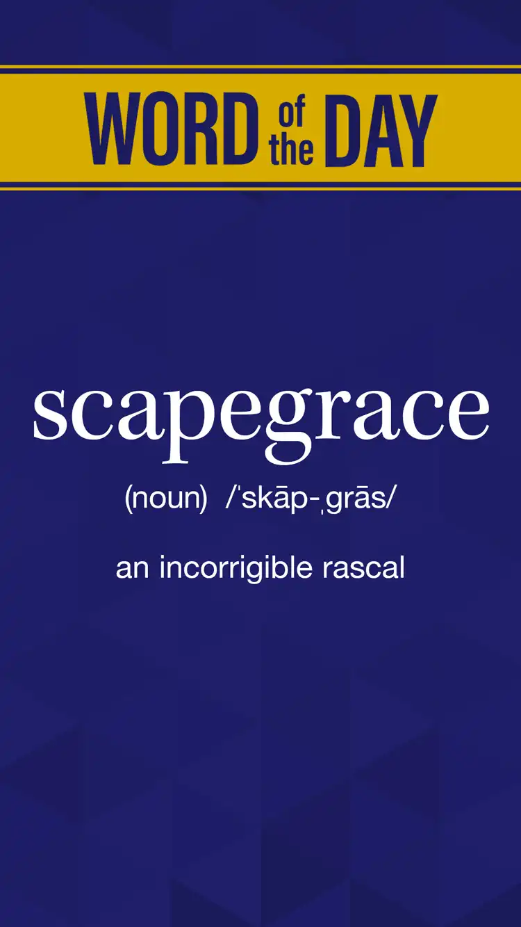 Wot D  Scapegrace
