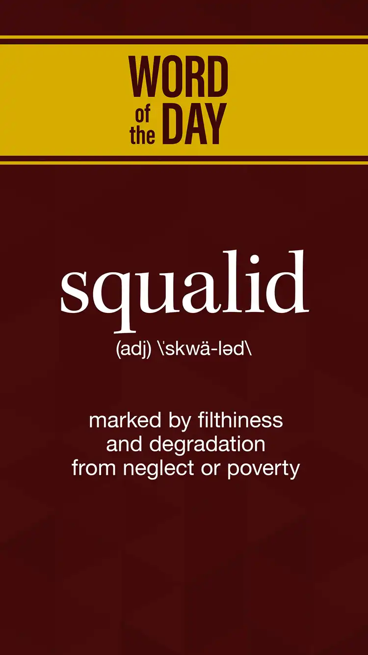 Wot D  Squalid