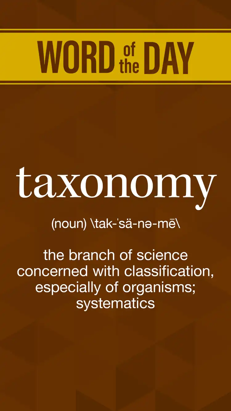 Wot D  Taxonomy