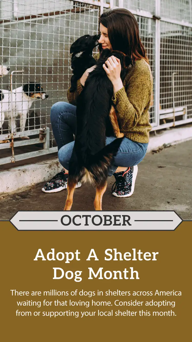 Adopt A Shelter Dog Month