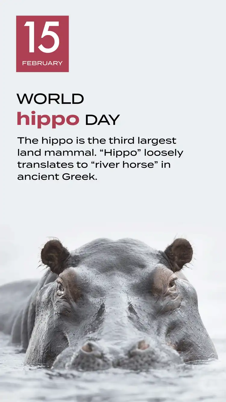 Hippo