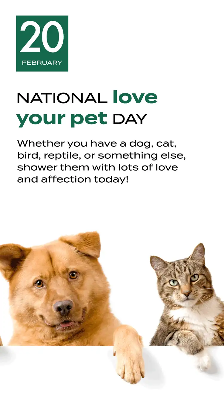 Love Your Pet