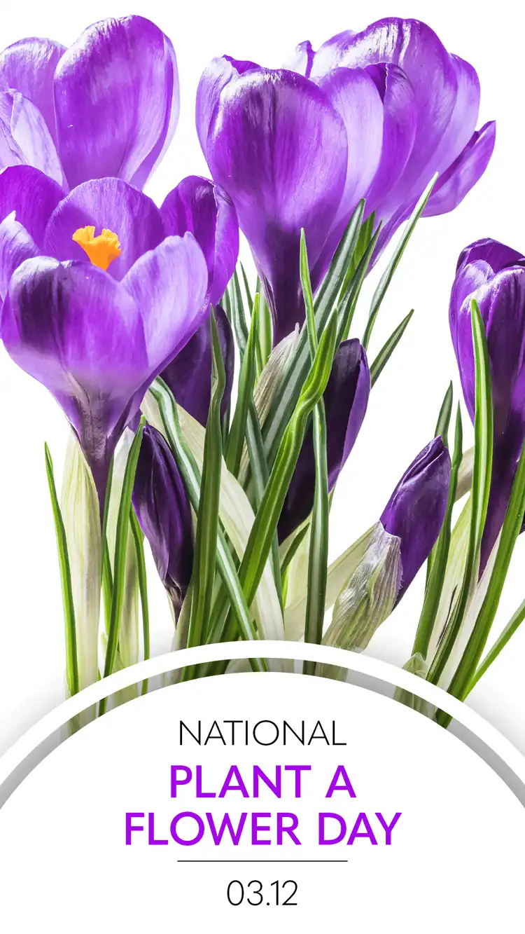 Flower Day