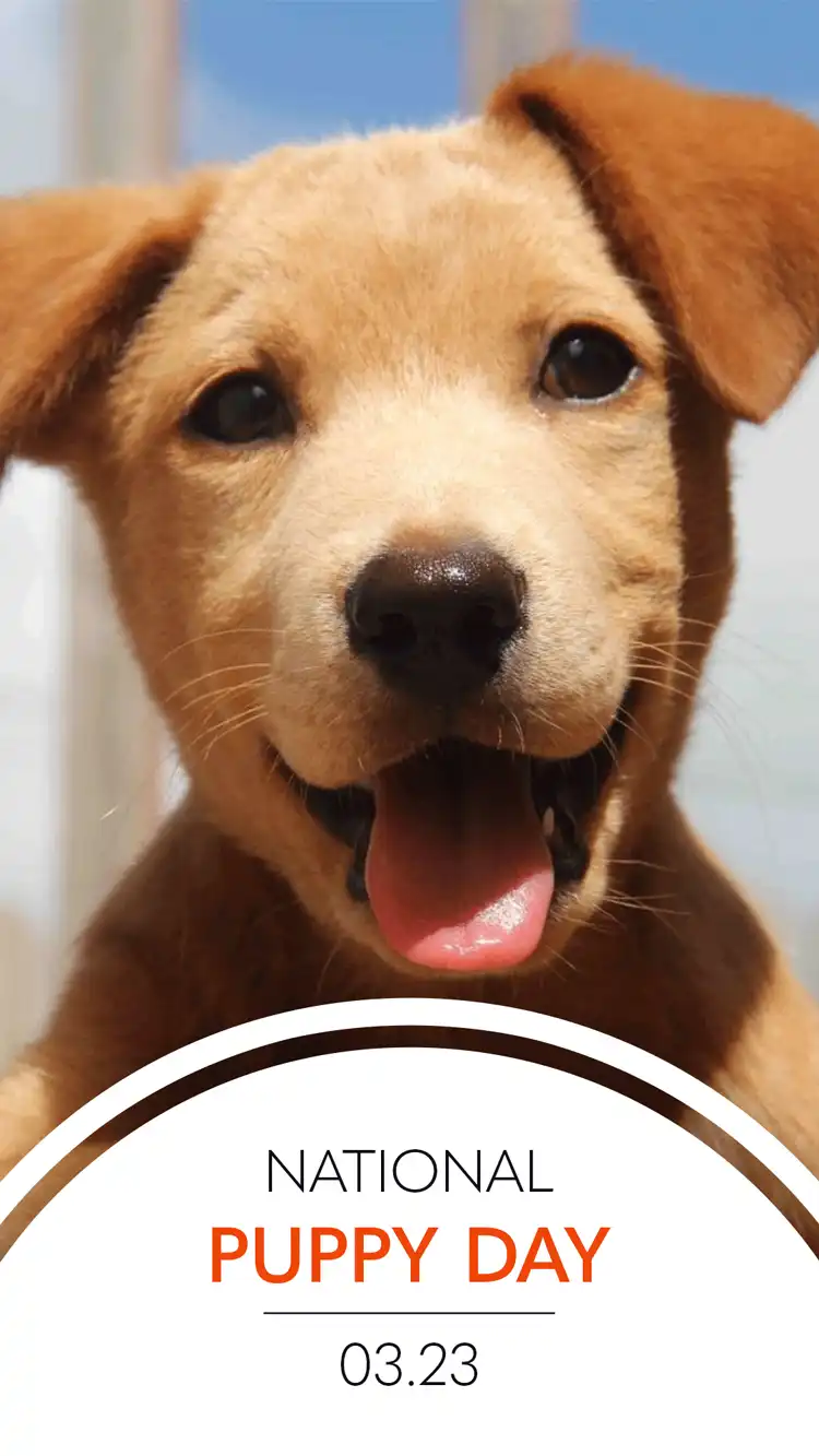 Pup Day