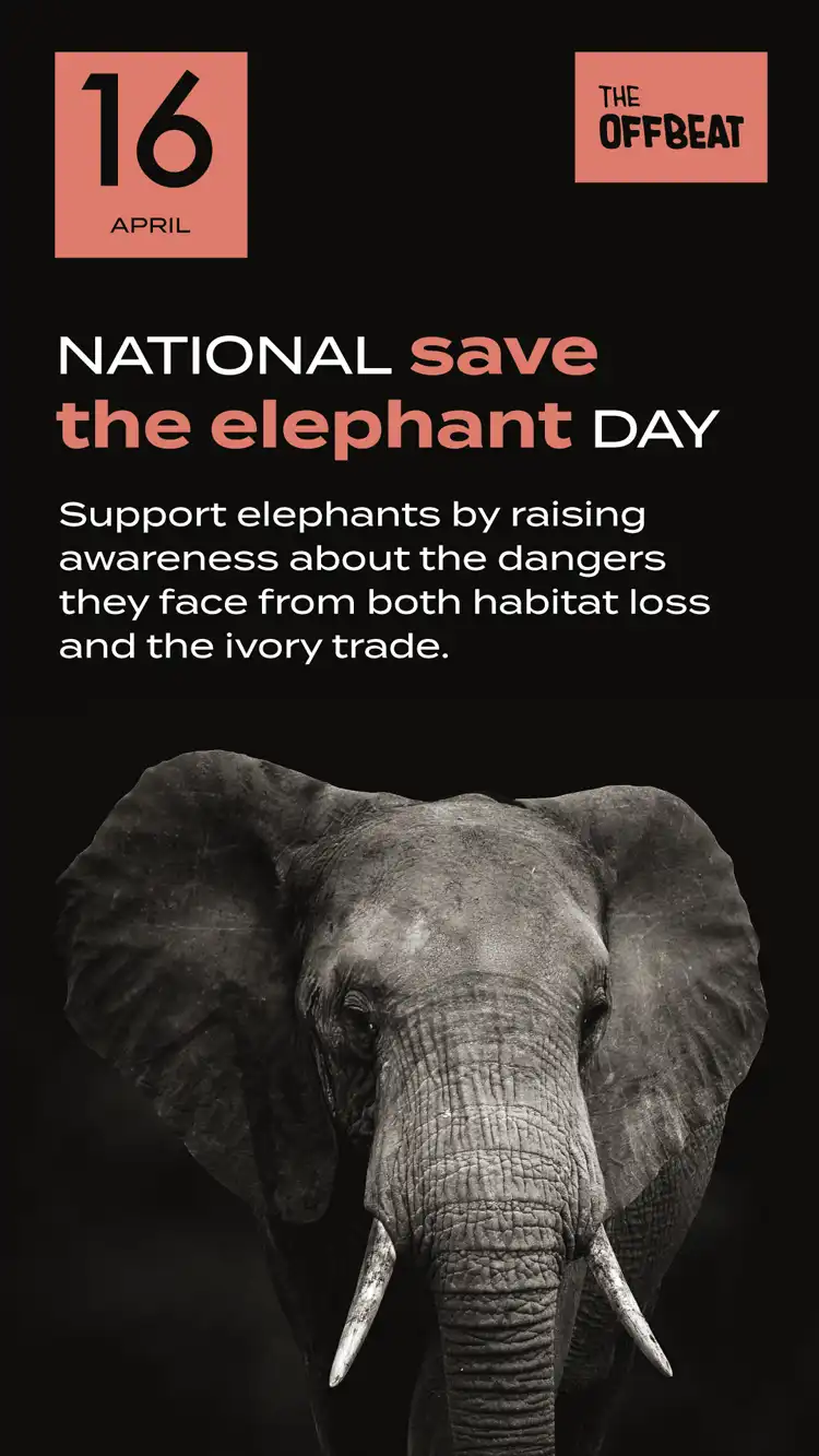 Save The Elephant Day