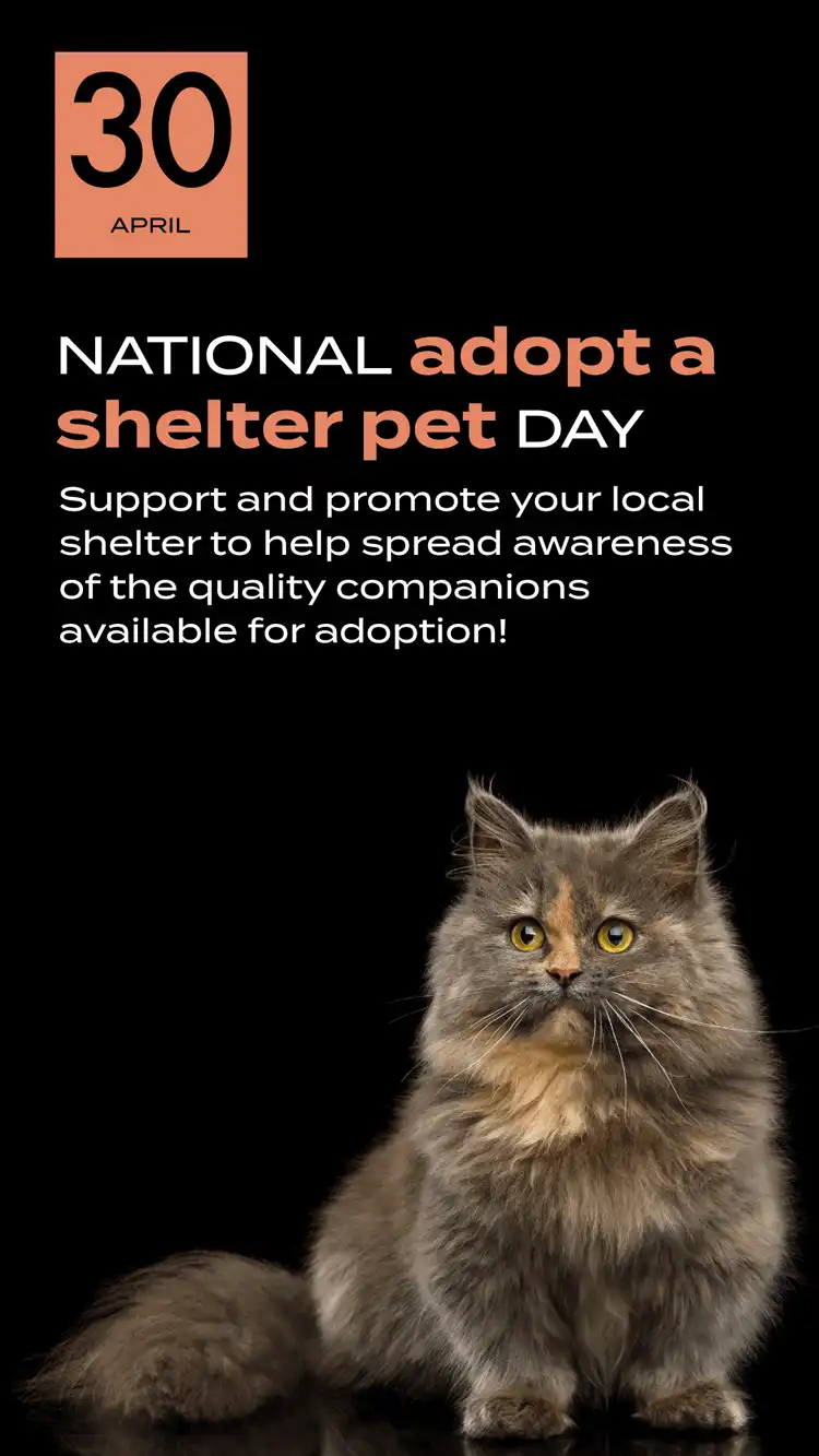 Adopt Pet Day