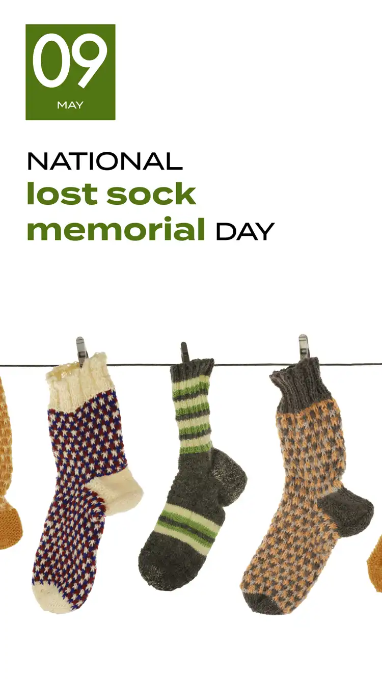 Lost Sock