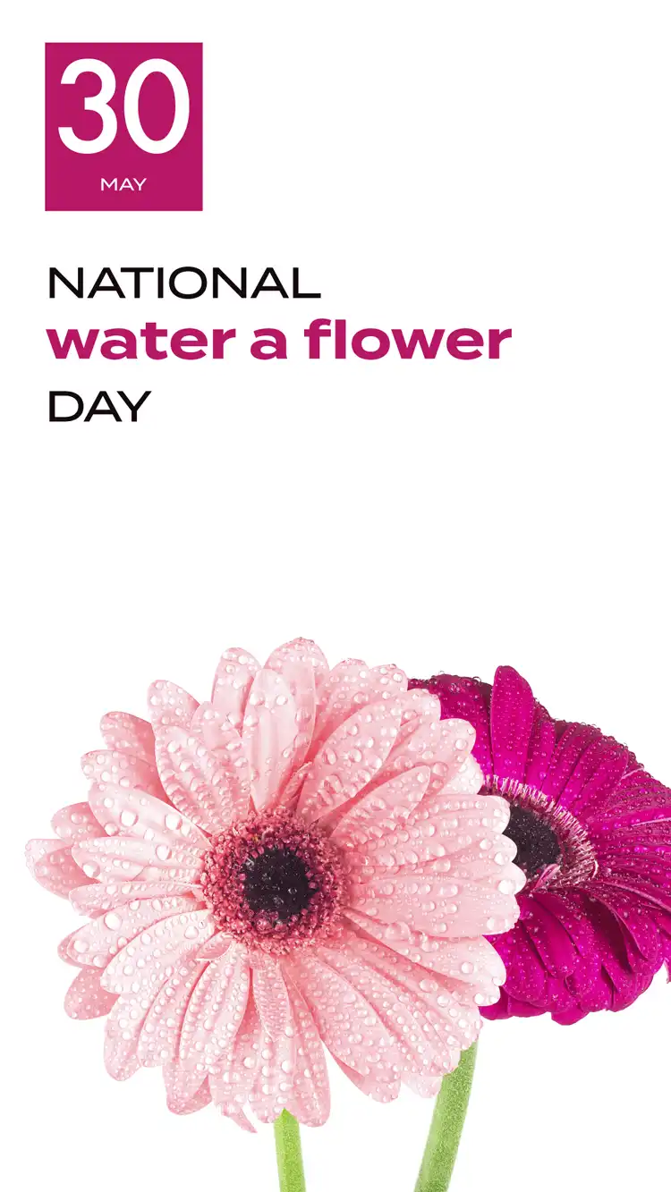 Water A Flower