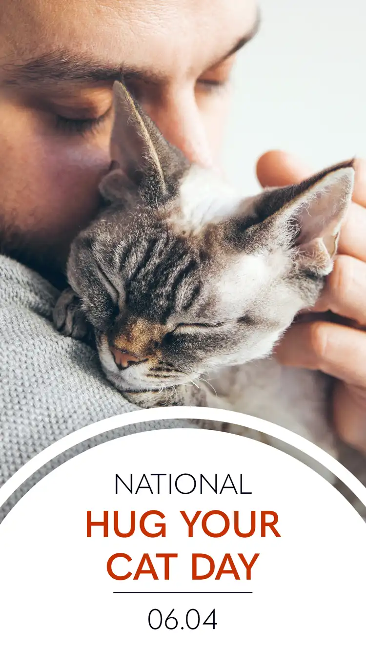 Cat Hugging Day