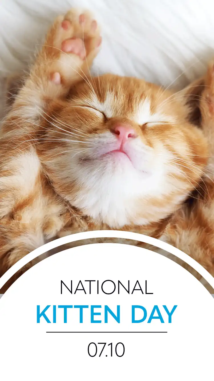 Kitten Day