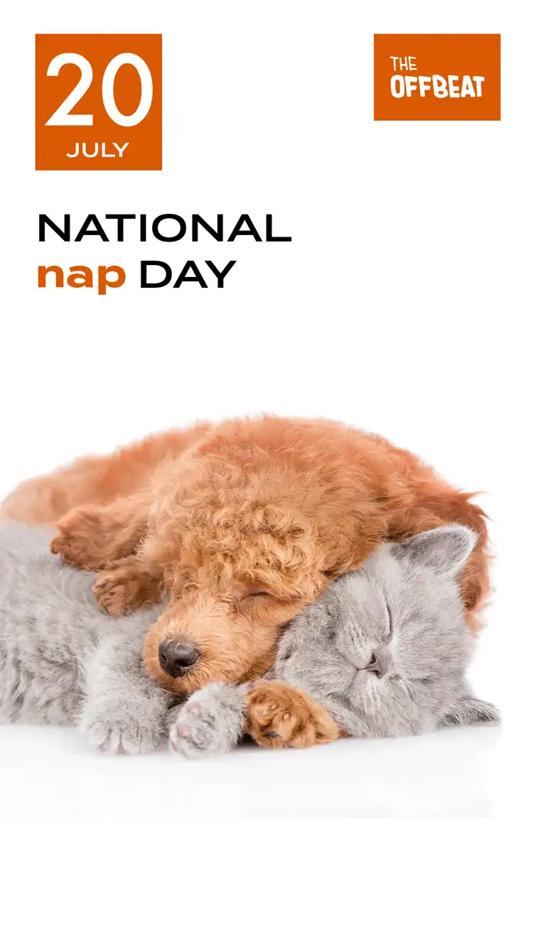 Nap Day