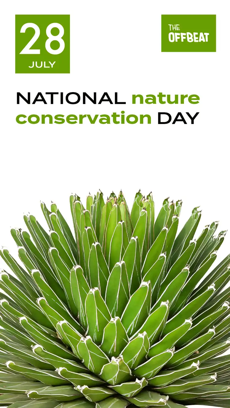 Nature Conservation
