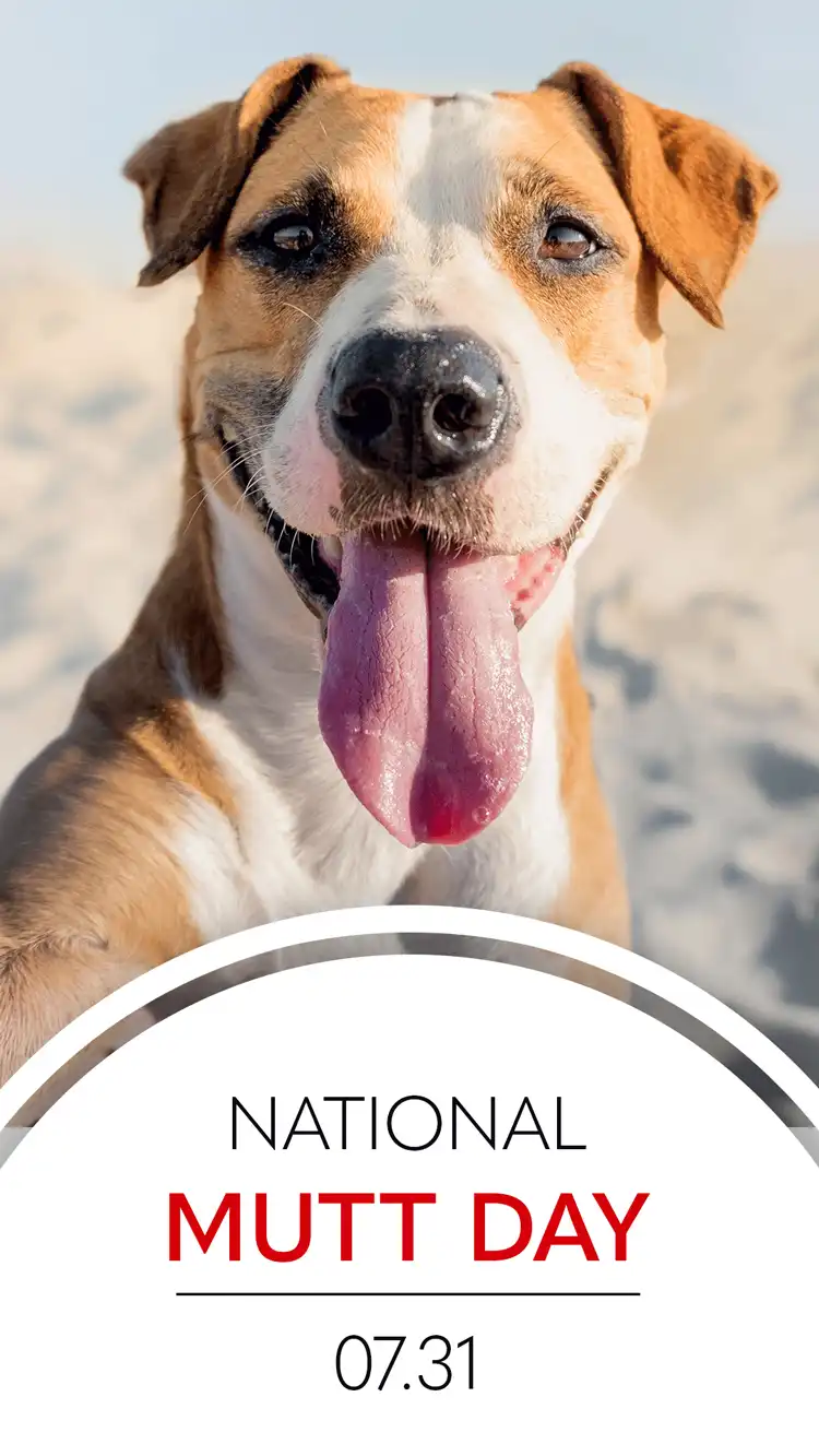 Mutt Day