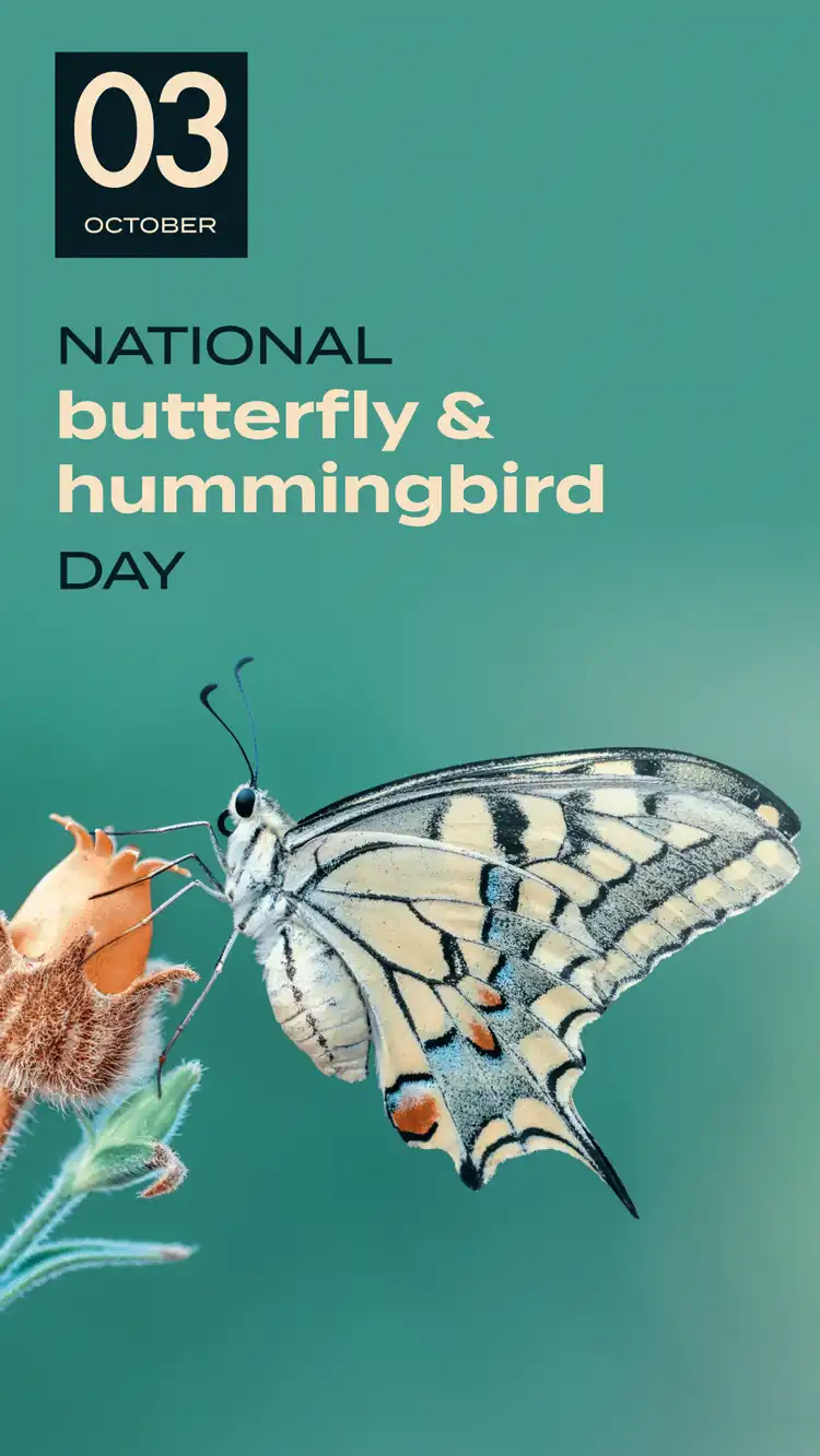Butterfly Day