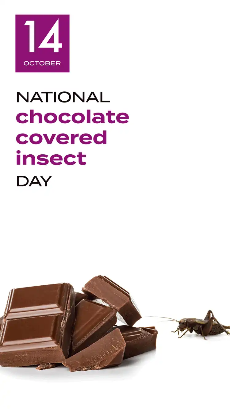 Chocolate Insect